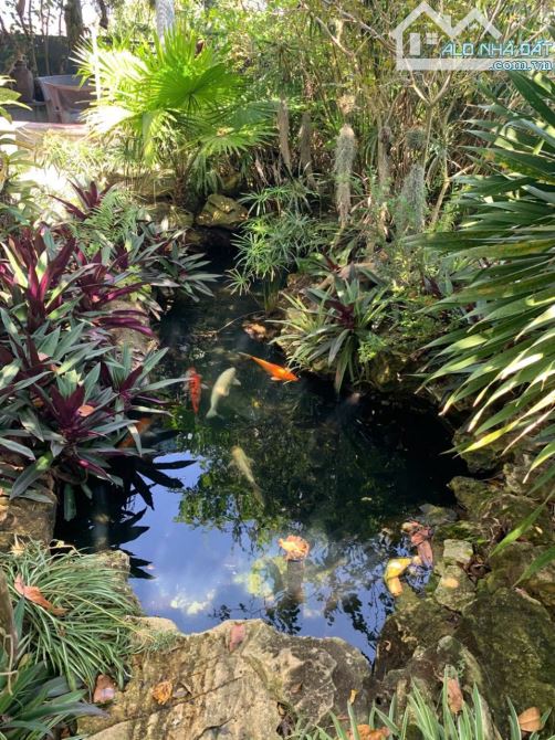 🏡 BÁN BIỆT THỰ - NHÀ YẾN 4 TẦNG KHU NHÀ VƯỜN NGHỈ DƯỠNG - 6