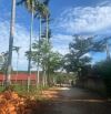 ĐẤT HẺM MẬU THÂN P TÂN HOÀ GIÁ RẺ