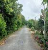 🔰 Bán 7.000m² (40m x 175m, thổ 400m², còn lại đất lúa)  🔰 Đường nhựa 3.5m, xã Mỹ Thọ