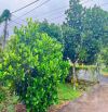 NHÀ VƯỜN TRÁI CÂY CỰC ĐẸP CẠNH HỒ SÔNG RAY, SẴN THỔ CƯ, SẴN NHÀ, BÁN NHANH GIÁ RẺ