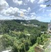 ĐẤT VIEW THÔNG MẶT TIỀN HOÀNG HOA THÁM 540M NGANG 20M GIÁ  28 TỶ