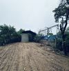 Cho thuê 100/250m2 kho/sân bãi mới dựng