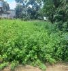 🏡 BÁN ĐẤT đẹp 100m. Mt5,8m giá 1 tỉ 55 ngõ 0t0 HỒNG KỲ, SÓC SƠN 📐 Diện tích: 100m² 🏠 Mặ