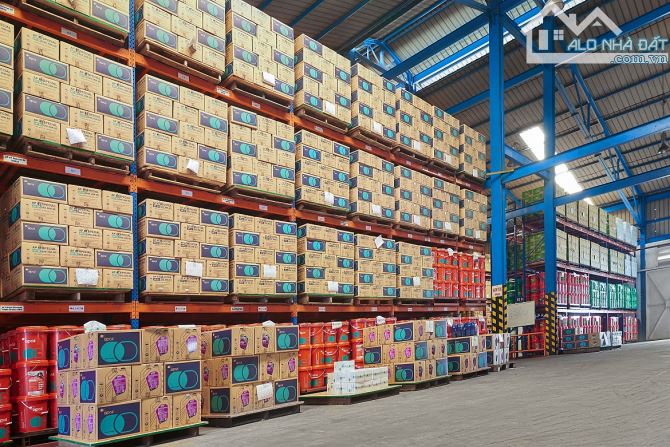 Kho chuyên lưu trữ hóa chất – An toàn là trên hết!