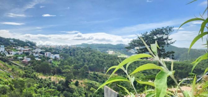 ĐẤT XÂY KHÁCH SẠN, VILLA NGHỈ DƯỠNG CÓ VIEW VĨNH VIỄN 300M2 NGANG 16,8M GIÁ 9,5 TỶ TL
