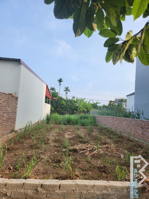 Bán đất thôn CD Quán Trạch,Liên Nghĩa Văn Giang Hưng Yên,,oto vào đất