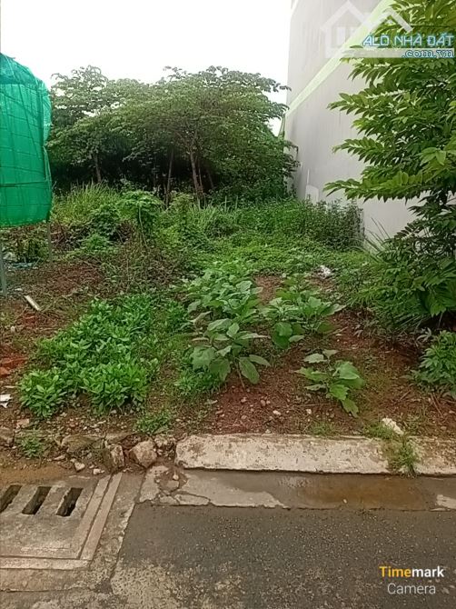 Cần bán 90m2 SHR Thổ cư đường oto gần trường THCS Hiệp Hòa Phường hiệp hòa đồng nai