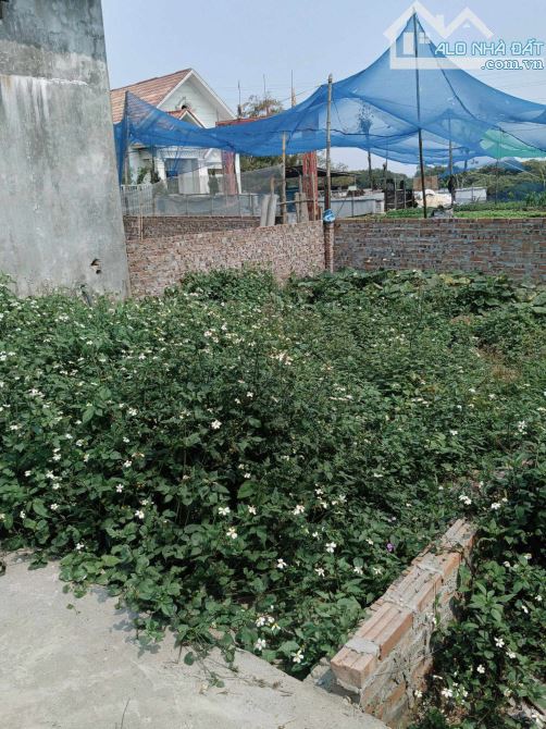 CHỈ 3 TỶ 58m Đất fun Thổ cư ngõ Ô TÔ trục chính TÂN PHÚ,HƯNG ĐẠO,QUỐC OAI,HÀ NỘI
