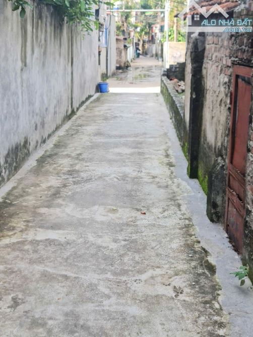 🌟 BÁN ĐẤT ĐẸP – TAM HIỆP, THANH TRÌ – VỊ TRÍ TIỀM NĂNG 🌟