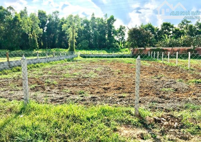 CẦN BÁN LÔ ĐẤT 384M2 ẤP TRẢNG SA, XÃ ĐÔN THUẬN, TRẢNG BÀNG, TÂY NINH 550 TRIỆU - 1