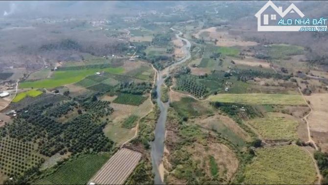 Bán trang trại suối quanh đất Hàm Thuận Bắc Bình Thuận