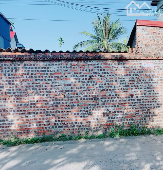 CHỦ CẦN TIỀNN MUỐN BÁNN GẤP MẢNH ĐẤT ĐẸP 88M ĐƯỜNG THÔNG Ô TÔ TRÁNH ĐẠI ĐỘ ZÁ RẺ - 1