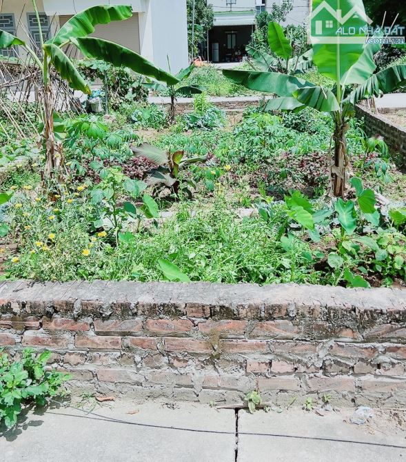 BÁN HÀNG HIẾMn NGÕ THÔNG Ô TÔ TRÁNH KINH DOANH 59M SÁP MAI ZÁ RẺ - 1