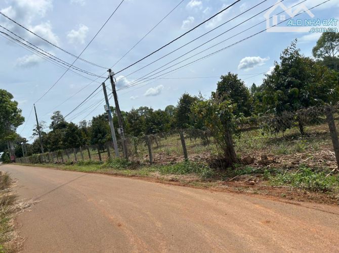 BÁN ĐẤT NỀN LÂM SAN- CẨM MỸ - ĐỒNG NAI -1000M2- GIÁ RẺ CHỈ 2 TỶ - 1