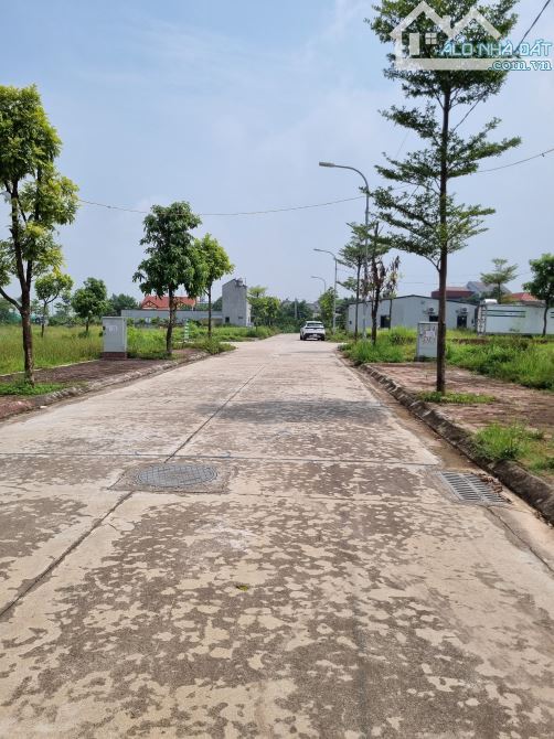 đất đấu giá Yên Vinh Thanh Lâm Mê Linh đối diện Hud MÊ LINH central sổ đỏ sẵn sang tên - 1