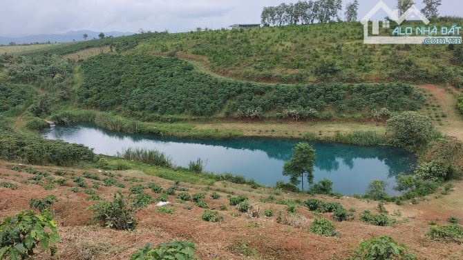 Cần bán 2,6ha cf thôn 7 Lộc Tân giờ là p2 Bảo Lộc - 1