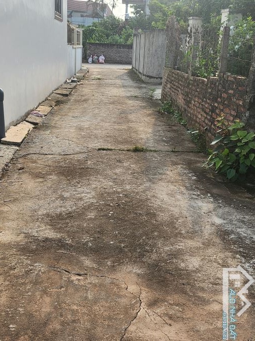 Bán đất thôn CD Quán Trạch,Liên Nghĩa Văn Giang Hưng Yên,,oto vào đất - 1
