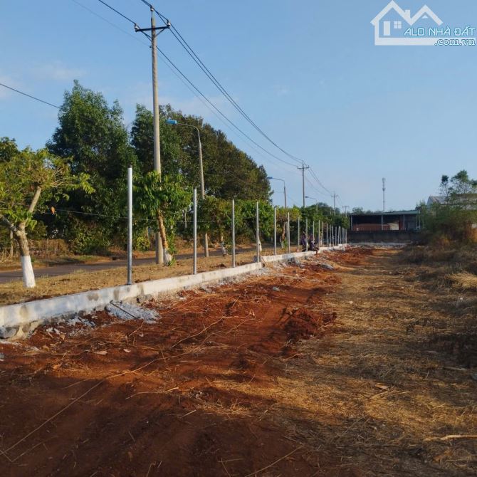 Bán 1,8ha Đất SKC Trong KCN Long Khánh Tỉnh Đồng Nai .GIÁ CHỈ 165$/m2 - 1