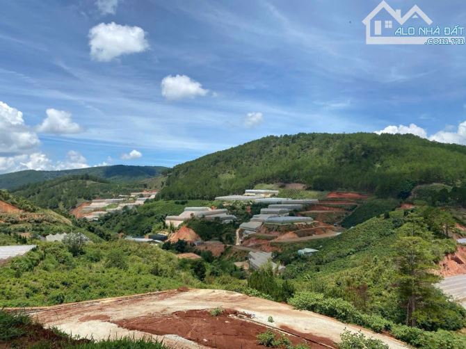 Bán đất mănglin thành phố Đà Lạt - 1