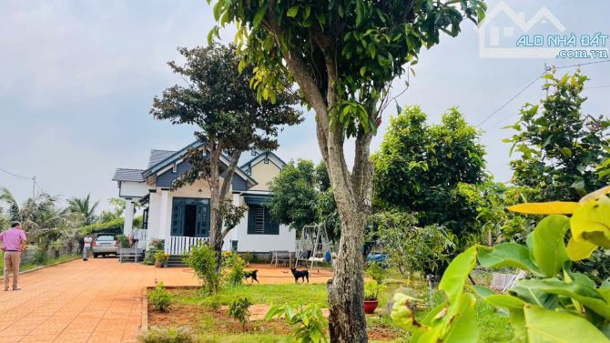 Bán Căn Nhà Tọa Lạc Tại TT Đất Đỏ .BRVT . DT 900m2 14x60m gồm 3p ngủ. Phòng khách ,sân vườ - 1