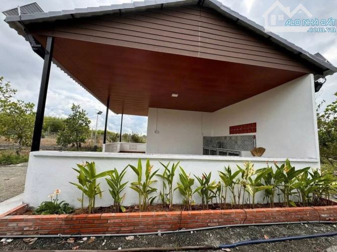 NHÀ VƯỜN XINH XẮN VỚI VƯỜN TRÁI CÂY CỰC ĐẸP CẠNH HỒ, SẴN THỔ CƯ, ĐẦY ĐỦ CÔNG NĂNG - 12