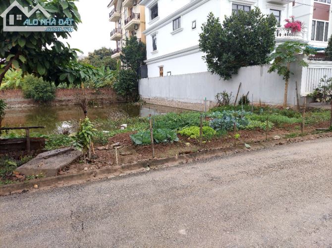 🌿 CHÍNH CHỦ CẦN BÁN LÔ ĐẤT NHÀ VƯỜN TRUNG TÂM TP. NINH BÌNH – VỊ TRÍ Ở QUẢNG TRƯỜNG 2