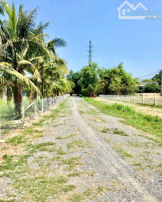 CẦN BÁN LÔ ĐẤT 384M2 ẤP TRẢNG SA, XÃ ĐÔN THUẬN, TRẢNG BÀNG, TÂY NINH 550 TRIỆU - 2