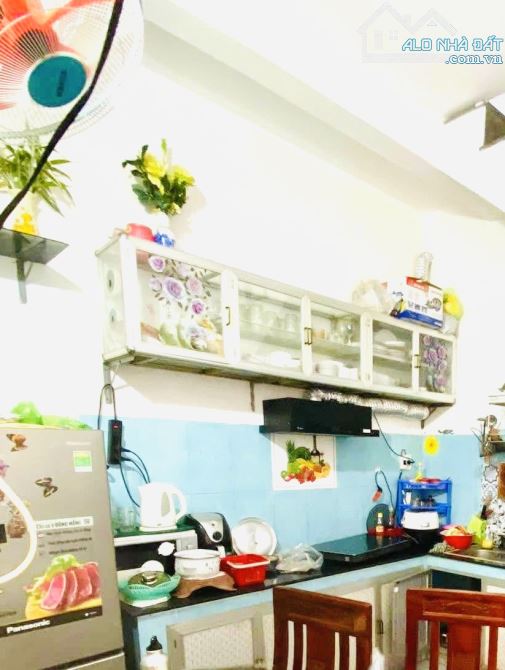 1 XUYỆT TÔN ĐẢN - HÀNG HIẾM HẼM  TO 3.5 MÉT - TƯƠNG LAI LÀ MẶT TIỀN🥊  🔖Mô Tả : - BÁN N - 2
