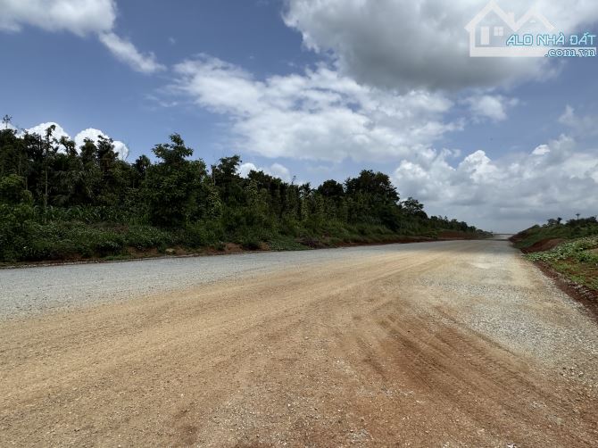 Hơn 2100m2 đất thương mại dịch vụ mặt tiền cao tốc BMT - Nha Trang - 2