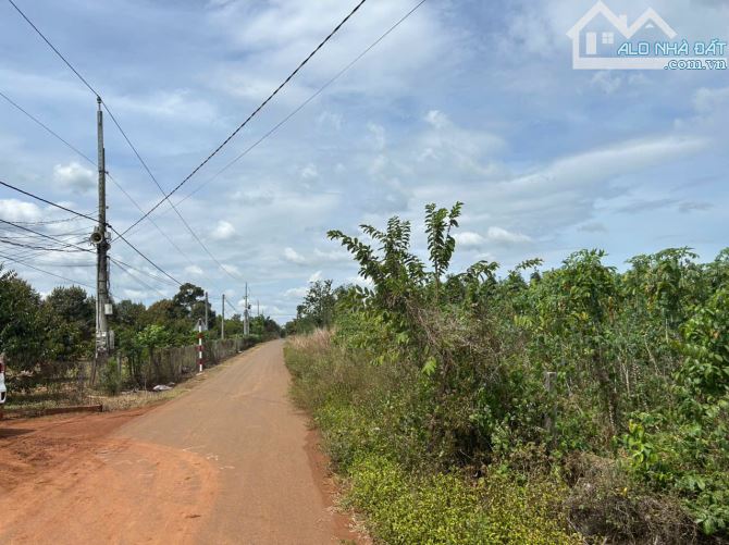 BÁN ĐẤT NỀN LÂM SAN- CẨM MỸ - ĐỒNG NAI -1000M2- GIÁ RẺ CHỈ 2 TỶ - 2