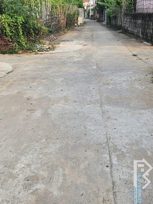 Bán đất thôn CD Quán Trạch,Liên Nghĩa Văn Giang Hưng Yên,,oto vào đất - 2