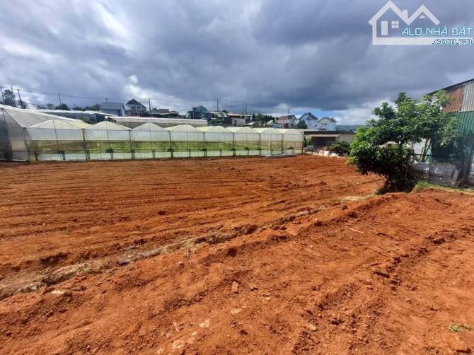 CẦN TIỀN GIẢM 2 TỶ cần bán gấp lô đất chuyển full xây dựng Tương Đương chưa tới 9 triệu/ m - 2
