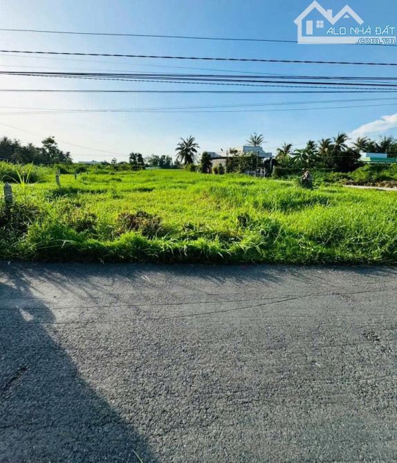 💎 Bán cặp nền (5 x 24m) MT Nguyễn Trọng Hợp, Phường Long Chánh, TP Gò Công - 2