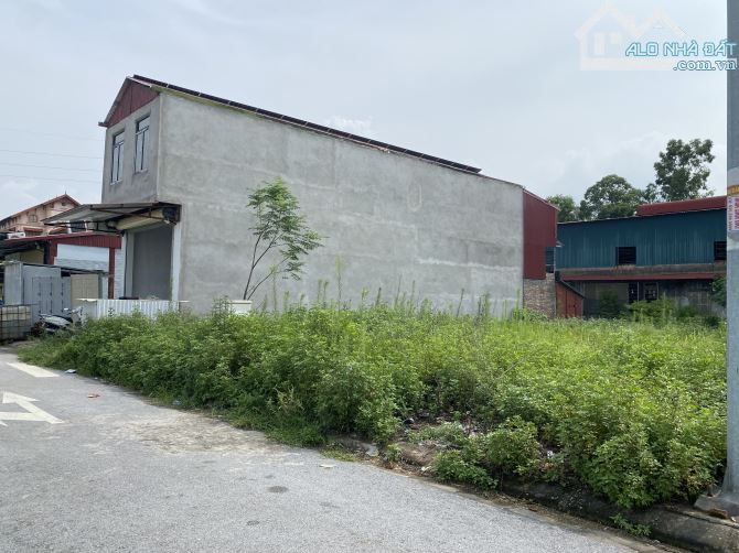BÁN ĐẤT NỀN DỰ ÁN QUANG VIỆT, NGHIÊM XÁ, TT CHỜ, YÊN PHONG, BẮC NINH. 81M2 - 4,2 TỶ - 2