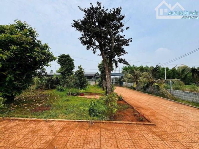 Bán Căn Nhà Tọa Lạc Tại TT Đất Đỏ .BRVT . DT 900m2 14x60m gồm 3p ngủ. Phòng khách ,sân vườ - 2