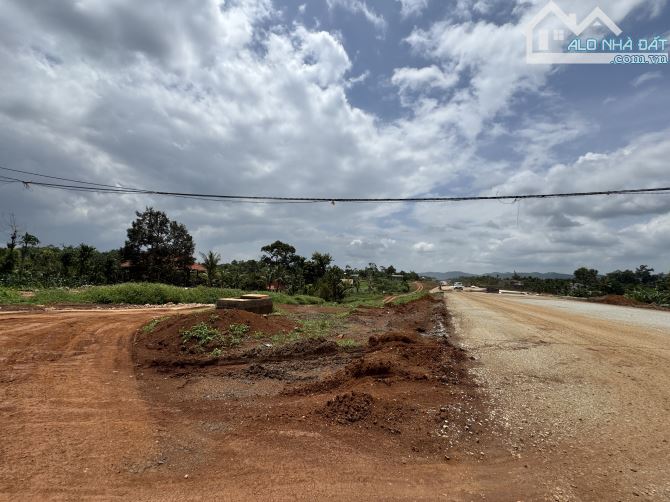Hơn 2100m2 đất thương mại dịch vụ mặt tiền cao tốc BMT - Nha Trang - 3