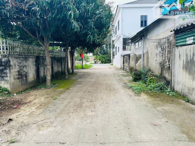 ĐÂT XÓM XUÂN HƯƠNG NGHI ĐỨC LỐI 2 ĐƯỜNG LÊ QUÝ ĐÔN - 3