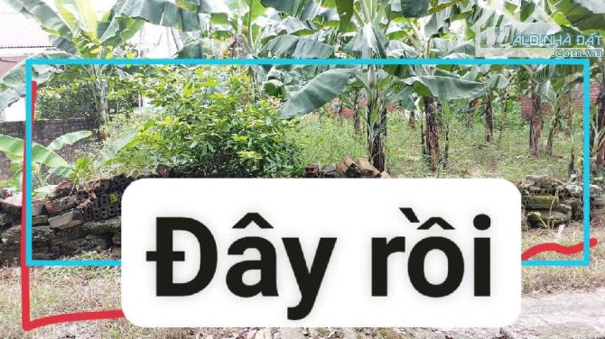 Dân Cắt Bán-Giá Đầu 32 Triệu/m-Mặt Tiền Lớn Chia Lô Đẹp.Bán Đất Trung Tâm Kim Sơn,Dt 225m. - 3