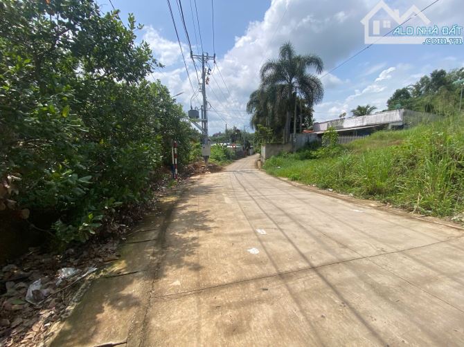 bán lô đất ở tại đô thị 694m2 đất nằm khu dân cư đông đúc,giá cho nhà đầu tư - 3