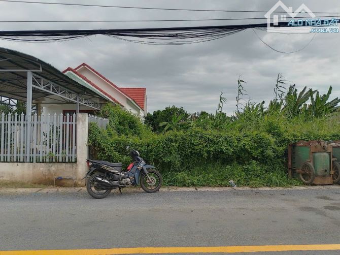 Bán 342m Đất Mặt Tiền 879B,Kế Chợ Gò Cát,Xã TMC,Mỹ Tho Cũ,(Phường Mỹ Phong,Đồng Tháp Mới) - 3