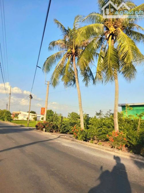 Hàng thơm, chỉ 370tr sở hữu 115m2 đất thổ cư đường ô tô nguyễn văn thanh - 3