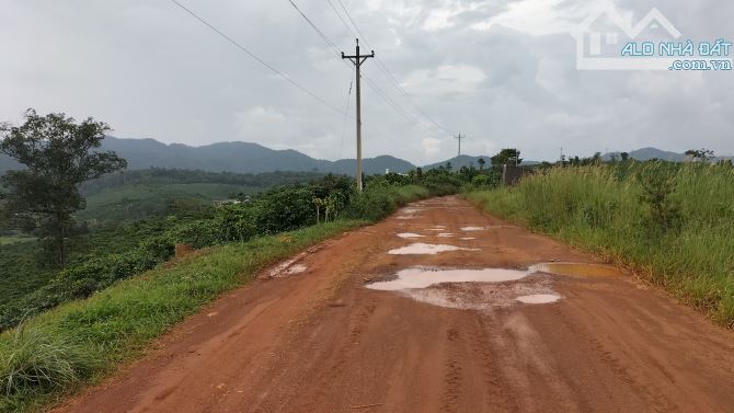 Cần bán 2,6ha cf thôn 7 Lộc Tân giờ là p2 Bảo Lộc - 4