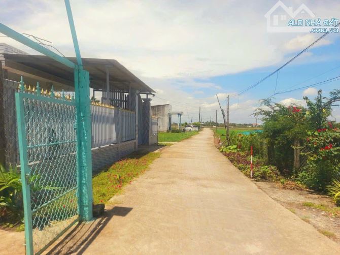 Hàng thơm, chỉ 370tr sở hữu 115m2 đất thổ cư đường ô tô nguyễn văn thanh - 4