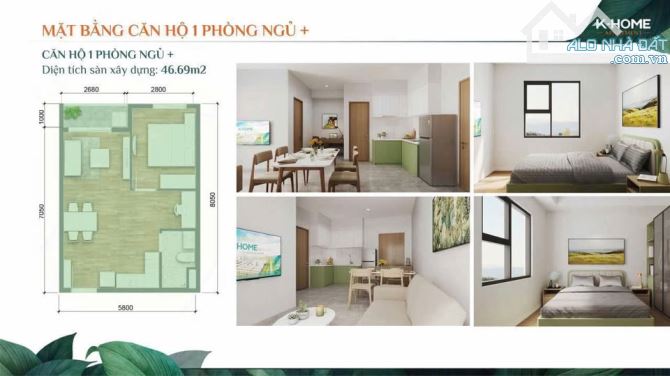 K-HOME APARTMENT 978 triệu/căn –Diện tích 45m² –Giá từ: 21,5triệu/m². - 5