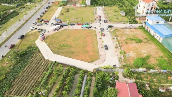 đất đấu giá Yên Vinh Thanh Lâm Mê Linh đối diện Hud MÊ LINH central sổ đỏ sẵn sang tên - 5