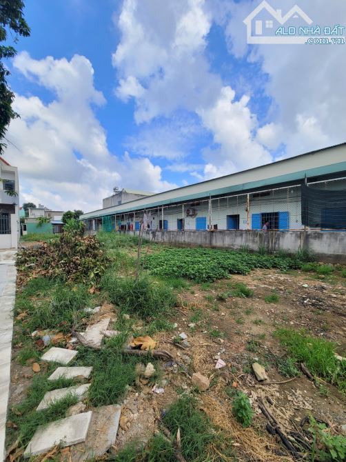 Bán đất 10x60m, mặt tiền đường Ống Nước p. Hóa An gần Chợ Hóa An - 5