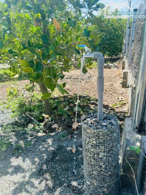 NHÀ VƯỜN XINH XẮN VỚI VƯỜN TRÁI CÂY CỰC ĐẸP CẠNH HỒ, SẴN THỔ CƯ, ĐẦY ĐỦ CÔNG NĂNG - 5