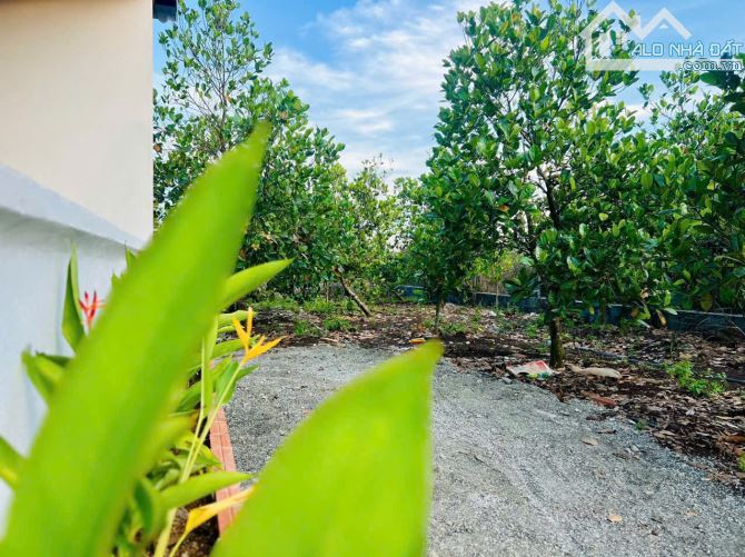 NHÀ VƯỜN XINH XẮN VỚI VƯỜN TRÁI CÂY CỰC ĐẸP CẠNH HỒ, SẴN THỔ CƯ, ĐẦY ĐỦ CÔNG NĂNG - 6