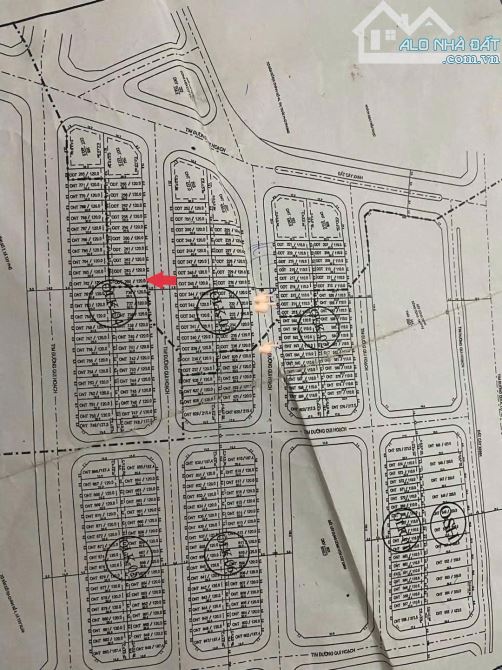 🟥Cần bán lô 120m2 lk04 khu ĐT mới phía nam QL19, phú hiệp,Tây phú,Tây Sơn, Bình Định - 8