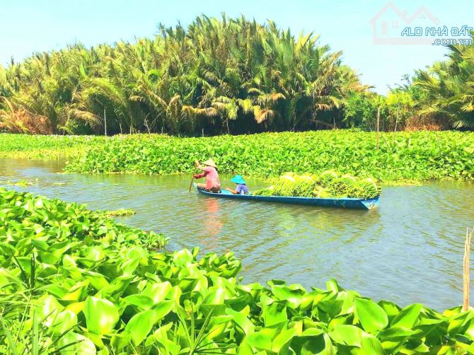 Siêu phẩm, 1000m2 đất thổ vườn view kênh cực đẹp, 1.5 tỷ - 7